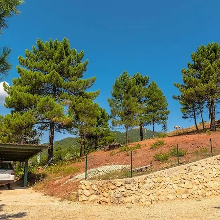 Casa Rural Cortijo La Tapia-3